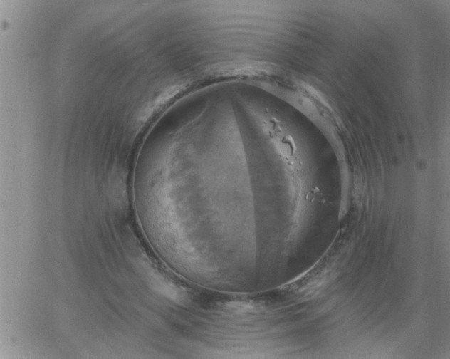 X0000063510394200601271816