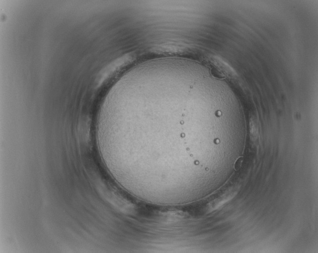 X0000063510396200601271816