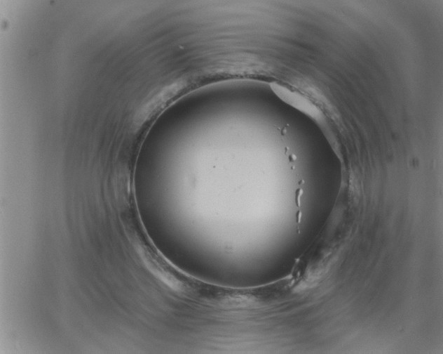 X0000063510397200601271816