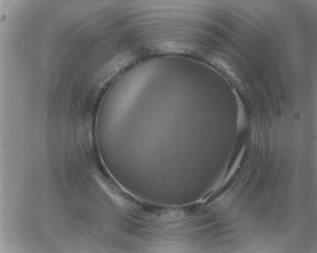 X0000063510398200601271816