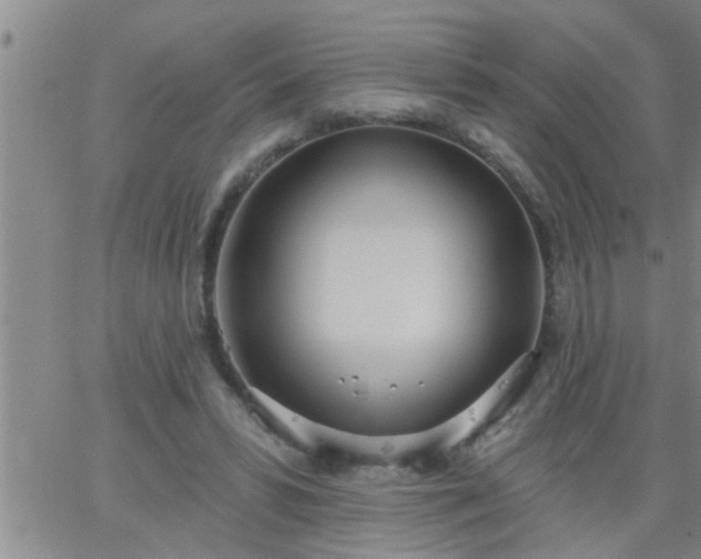 X0000063510399200601271816