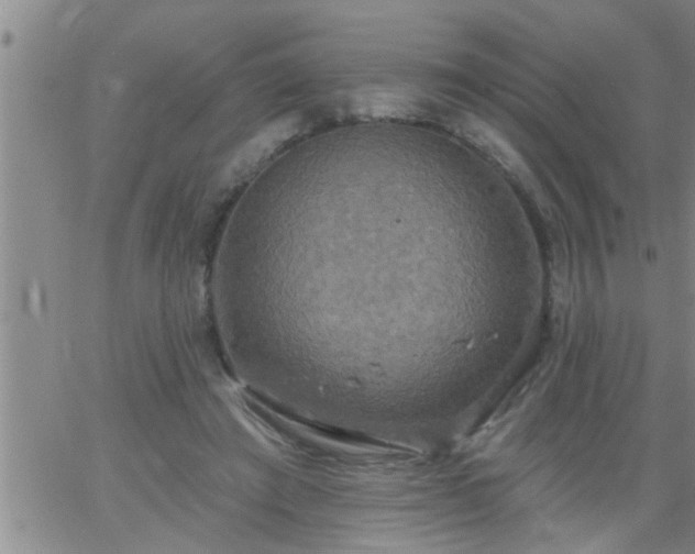 X0000063510401200601271816