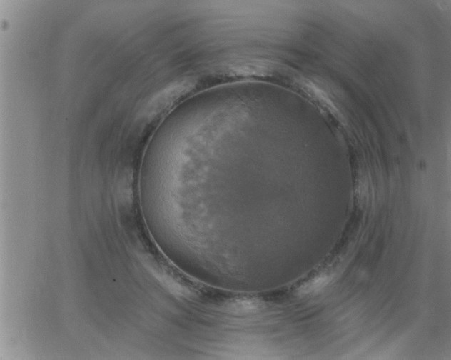 X0000063510402200601271816