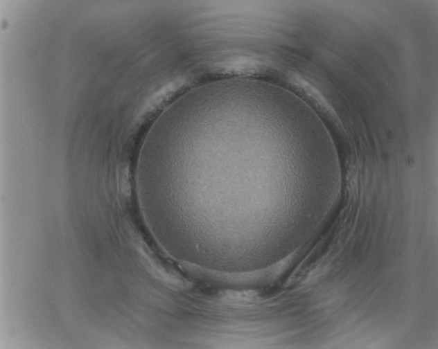 X0000063510403200601271816