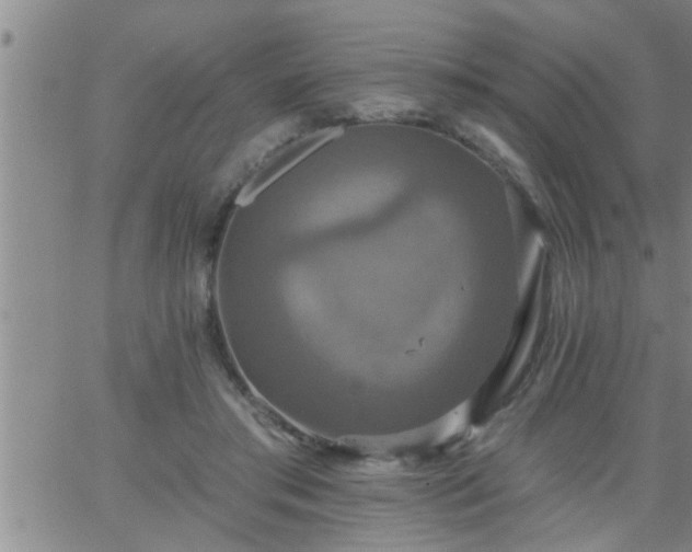 X0000063510405200601271816