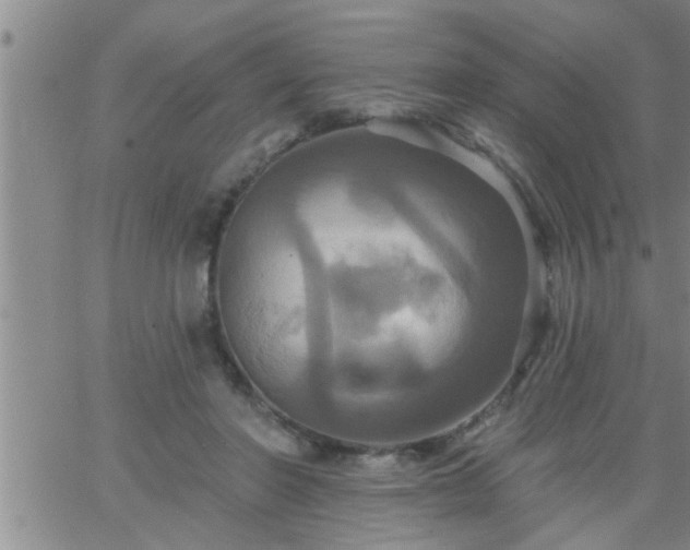 X0000063510406200601271816