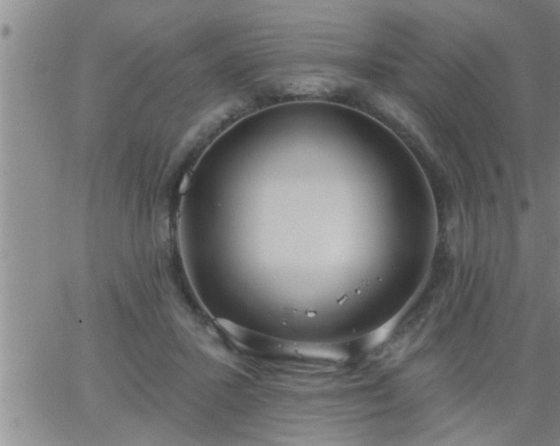 X0000063510407200601271816