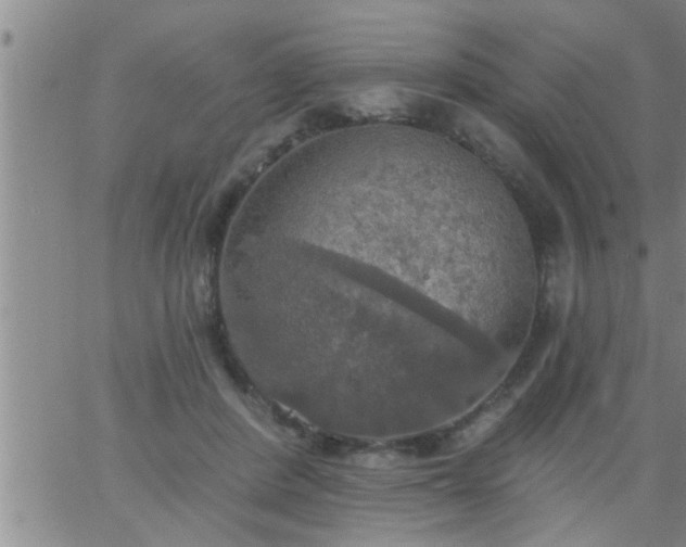 X0000063510408200601271816