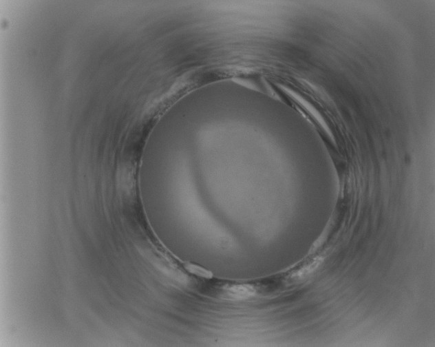 X0000063510409200601271816