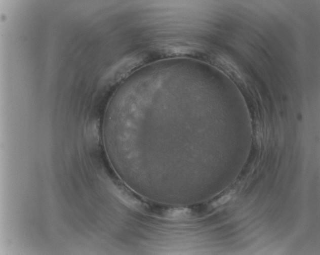 X0000063510410200601271816