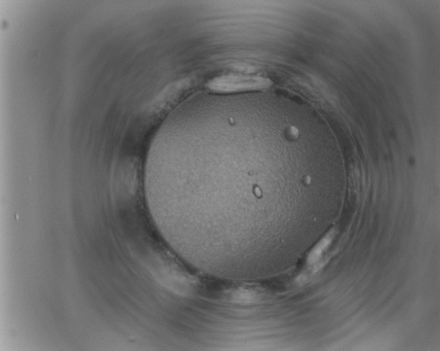 X0000063510412200601271815