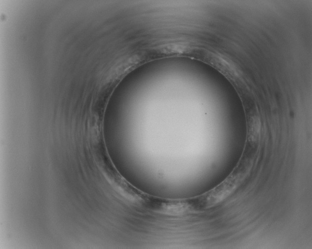 X0000063510414200601271815