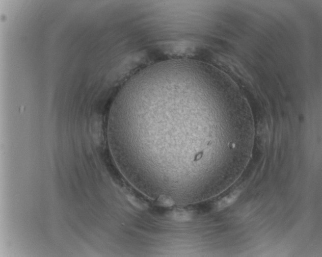 X0000063510416200601271815