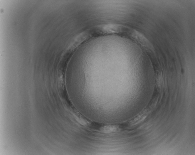 X0000063510418200601271815