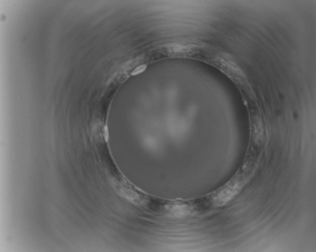 X0000063510419200601271815