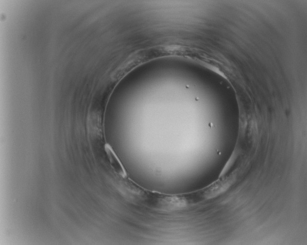 X0000063510421200601271815