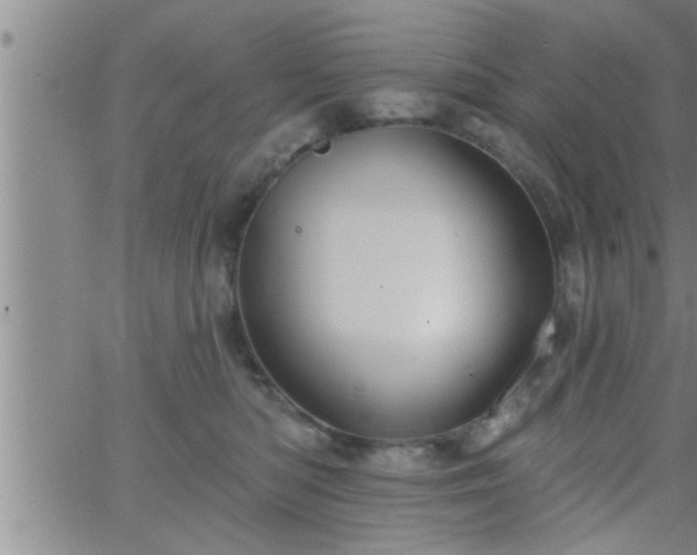 X0000063510422200601271815