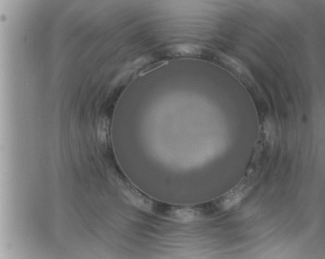 X0000063510423200601271815