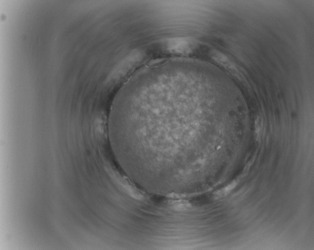 X0000063510424200601271815