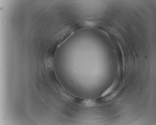 X0000063510425200601271815