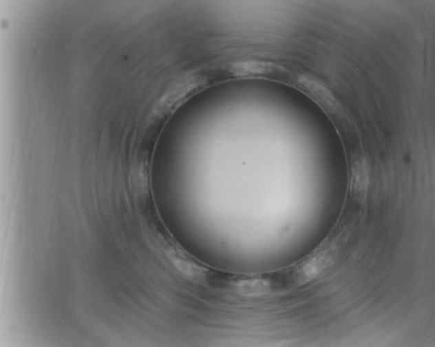 X0000063510426200601271815