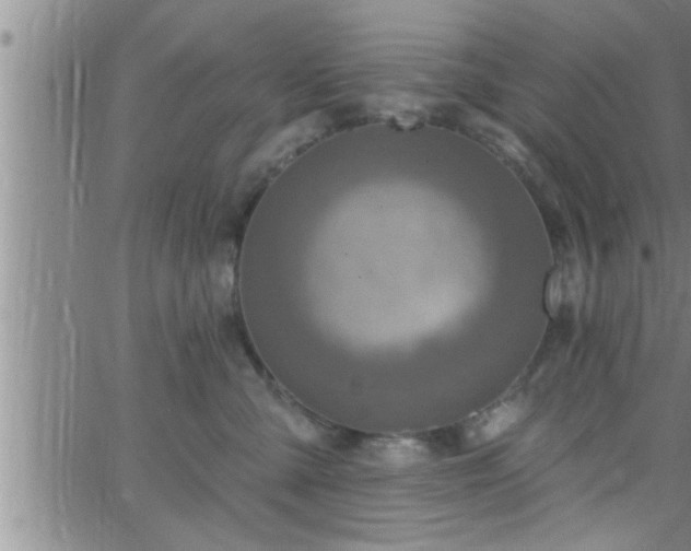 X0000063510427200601271815