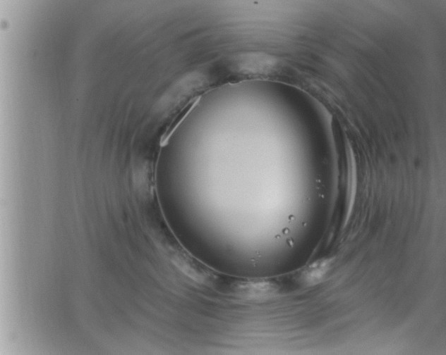 X0000063510428200601271815