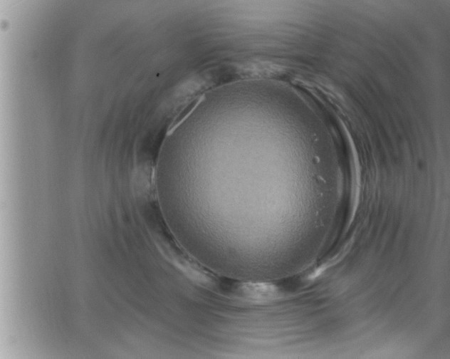 X0000063510429200601271815