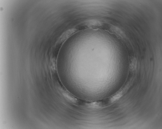 X0000063510430200601271815