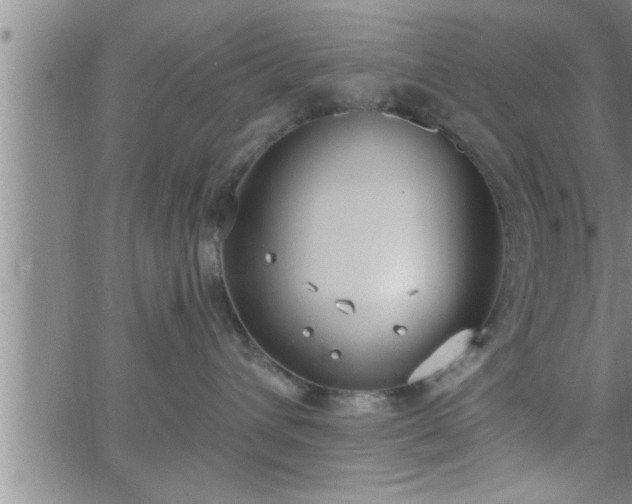 X0000063510432200601271815