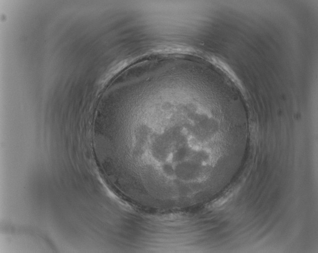 X0000063510433200601271814