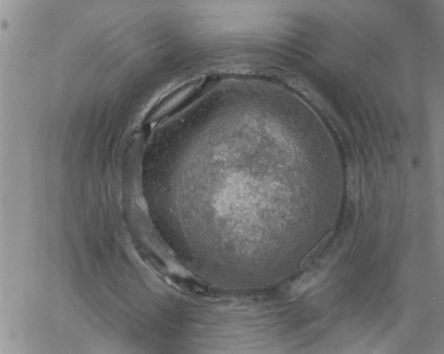 X0000063510434200601271814