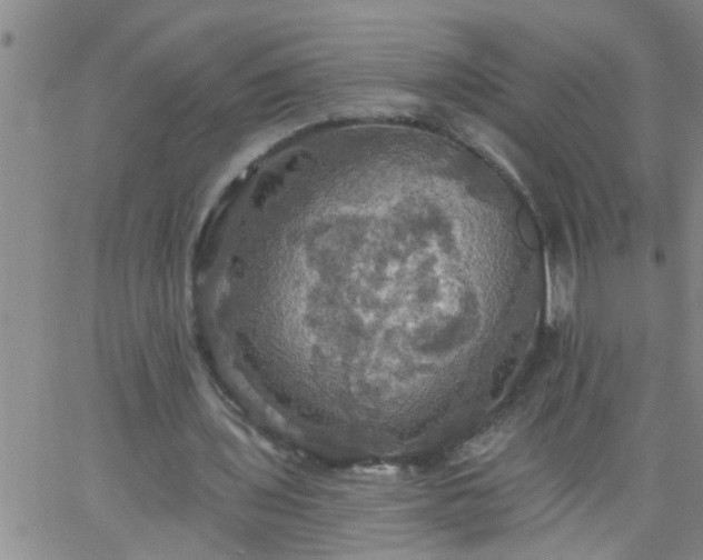 X0000063510435200601271814