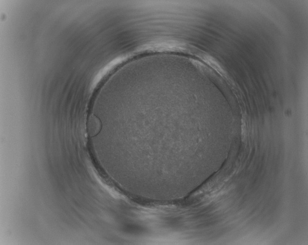 X0000063510438200601271814