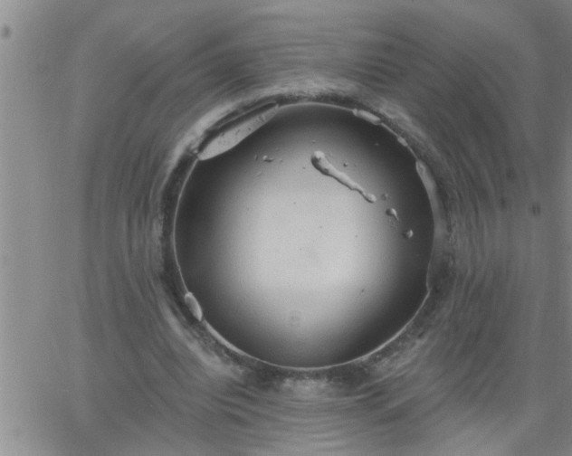 X0000063510440200601271814