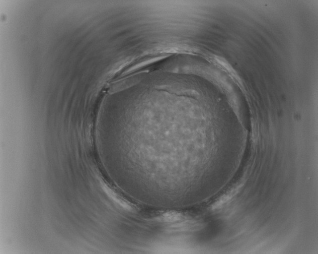 X0000063510441200601271814