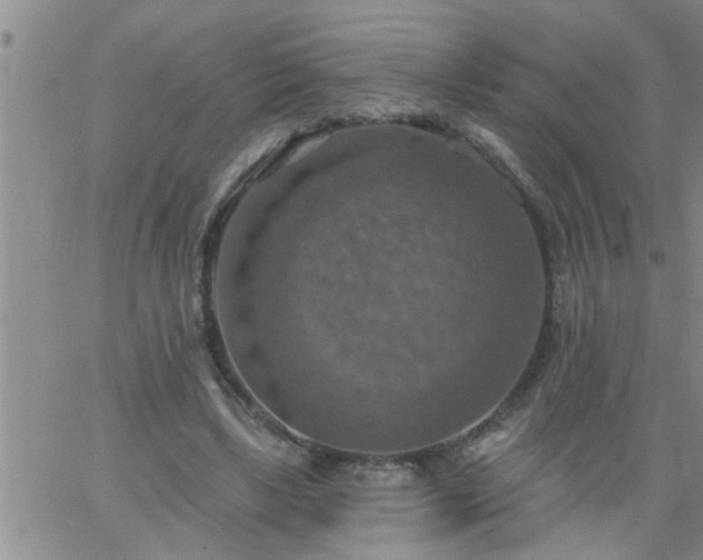 X0000063510443200601271815