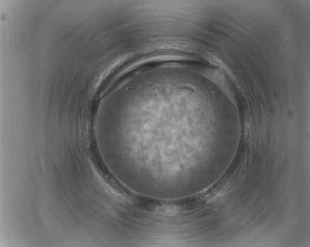 X0000063510444200601271815