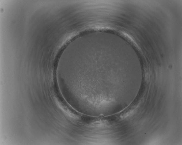 X0000063510447200601271815