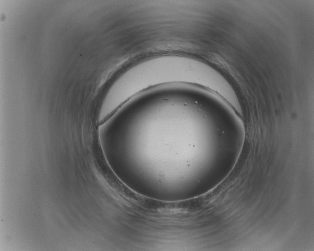 X0000063510448200601271815