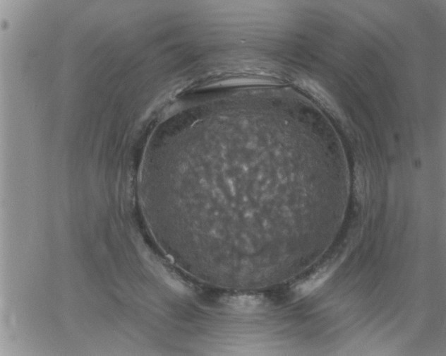 X0000063510449200601271815