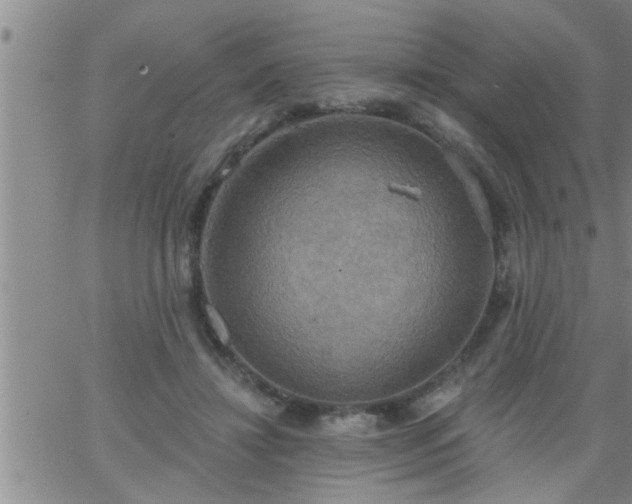 X0000063510452200601271815