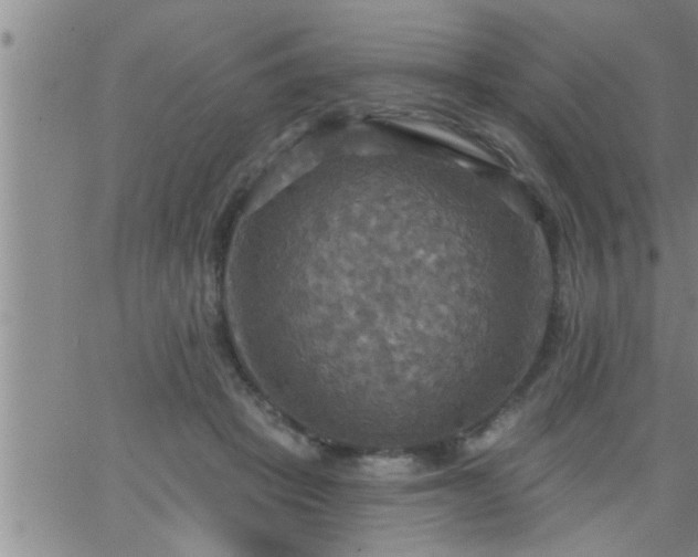 X0000063510457200601271815