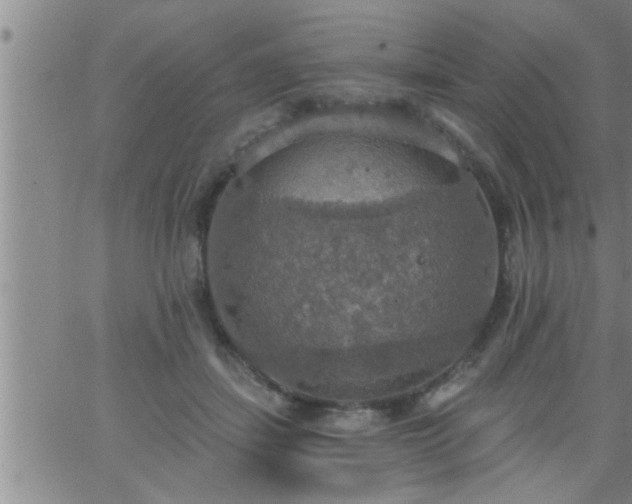 X0000063510459200601271815