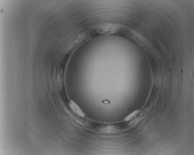 X0000063510460200601271815