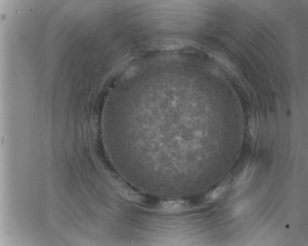 X0000063510461200601271815