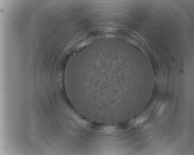 X0000063510462200601271815