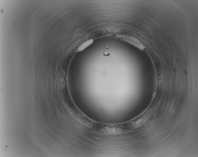 X0000063510464200601271815