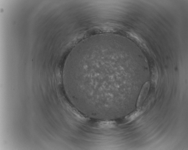 X0000063510465200601271815