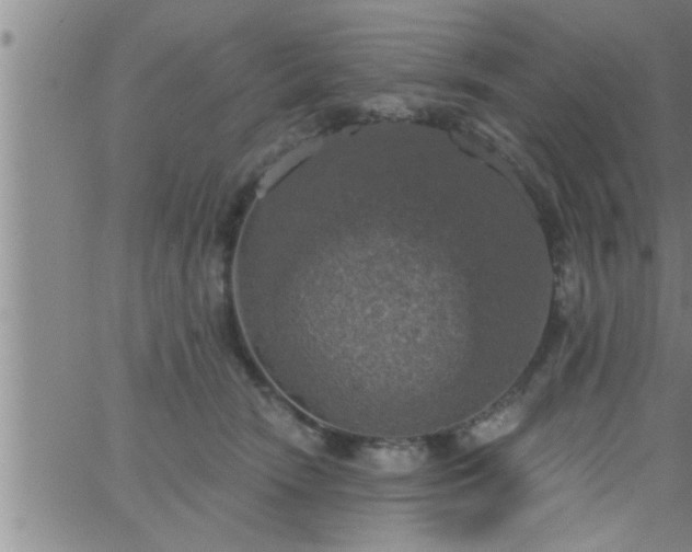 X0000063510466200601271815